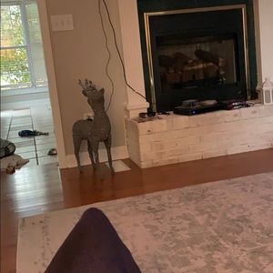 Meet your Posher, Jolene